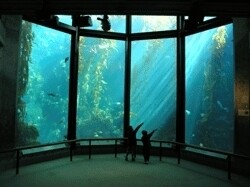 Wonderboom Aquarium