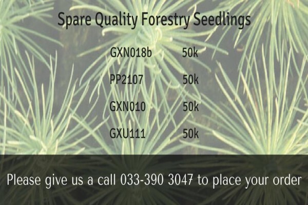 Springbank Farms (Pty) Ltd
