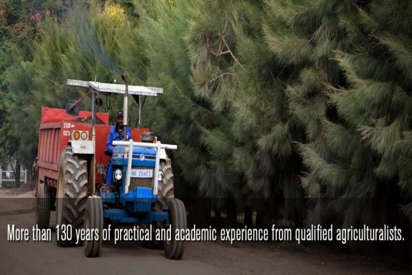Springbank Farms (Pty) Ltd
