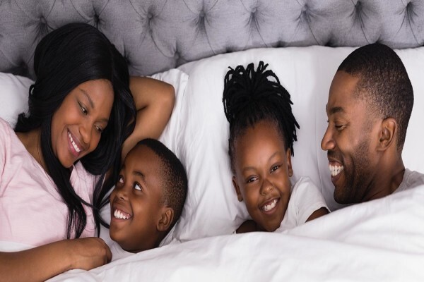 Ericssons Mattress & Pine CC:Die Wilgers