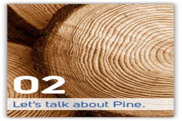 Ericssons Mattress & Pine CC:Die Wilgers
