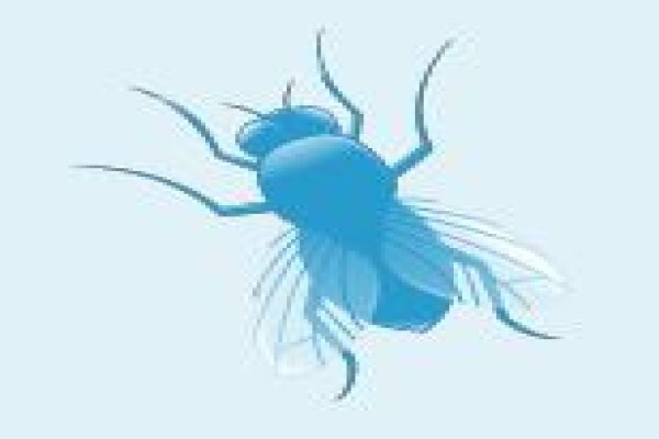 Blue Mountain Hygiene Solutions