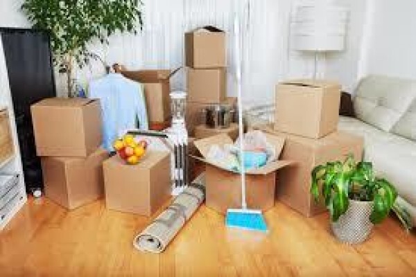 Multi-Clean Services:General Property Maintenance Cell