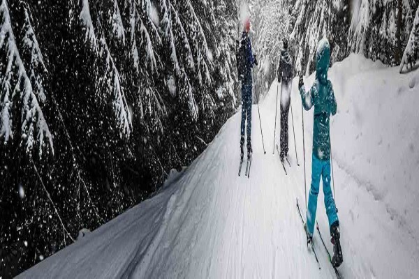 Standard Bank of SA Ltd:CARD DIVISION:Lost or Stolen Cards FreeCall