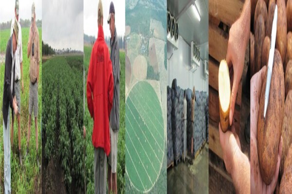 Advanced Potato Propagation (Pty) Ltd