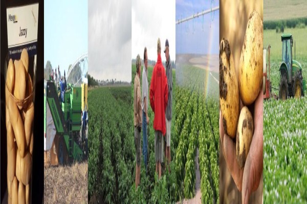 Advanced Potato Propagation (Pty) Ltd