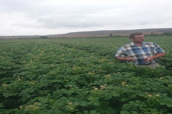 Advanced Potato Propagation (Pty) Ltd