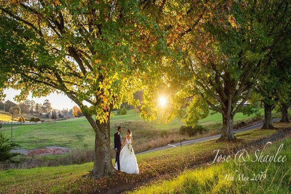 Wade Howard Photography