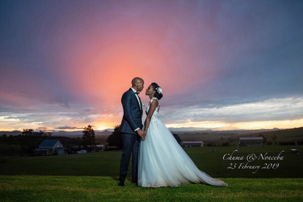 Wade Howard Photography