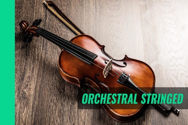 Marshall Music (Cape Town):Constantiaberg