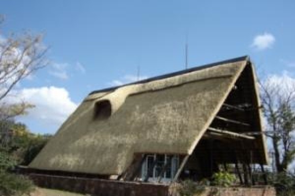 Top Poles & Thatch