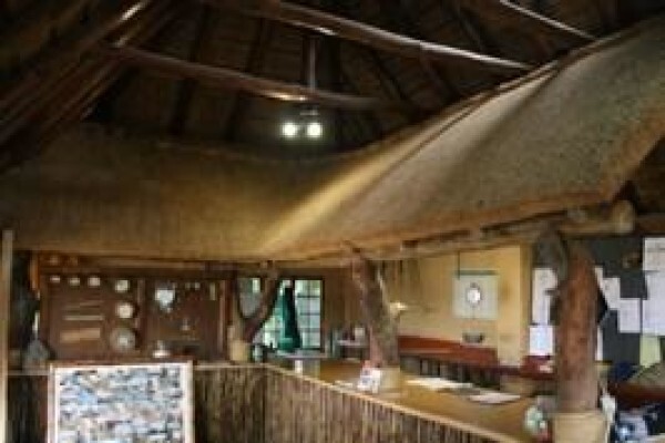 Top Poles & Thatch