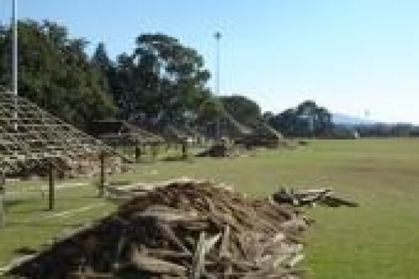 Top Poles & Thatch