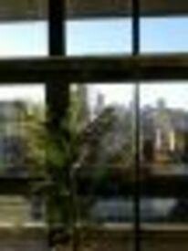 Alcazaba Lodges
