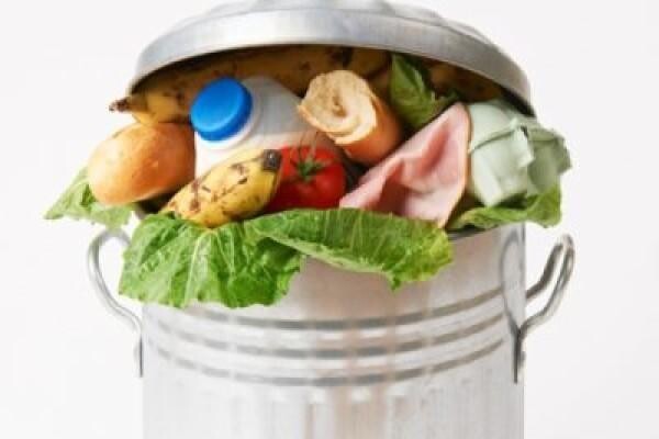 Sinkmaster Food Waste Disposers (Westville)