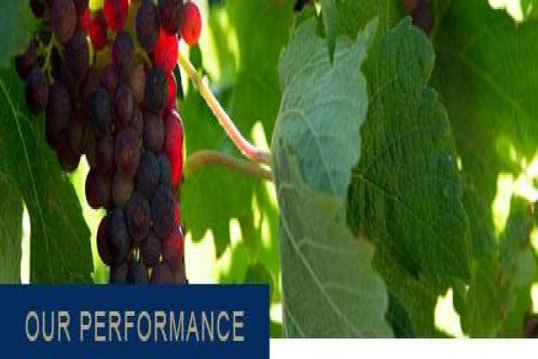 Belmont Asset Management (Pty) Ltd