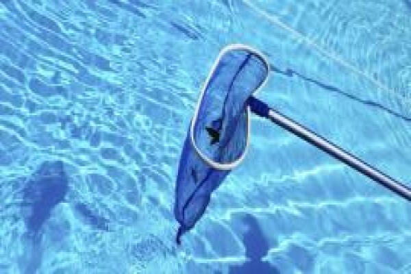 Pool Prof