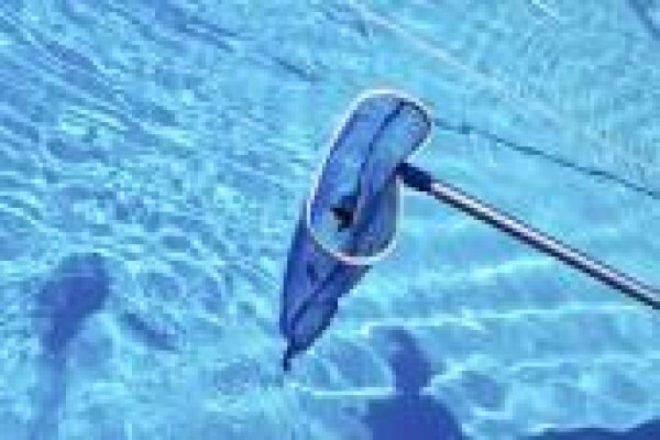 Pool Prof