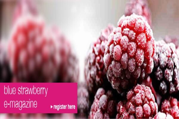 Blue Strawberry Caterers