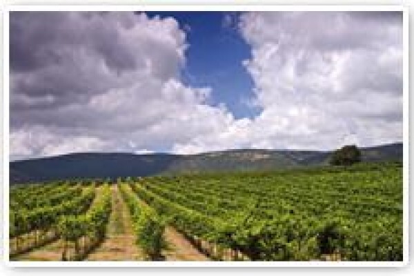 Nexus Ag (Pty) Ltd