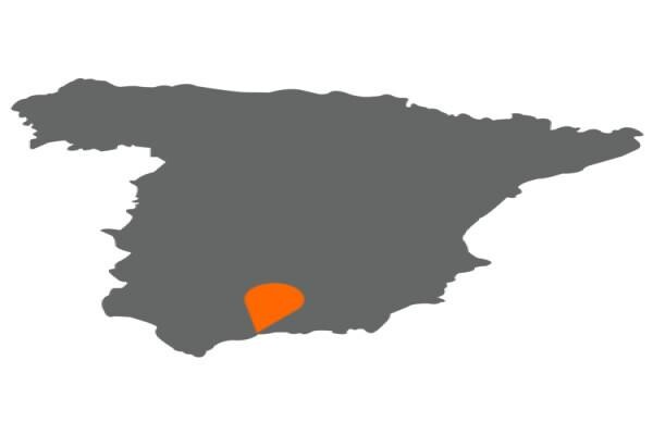 Easycars
