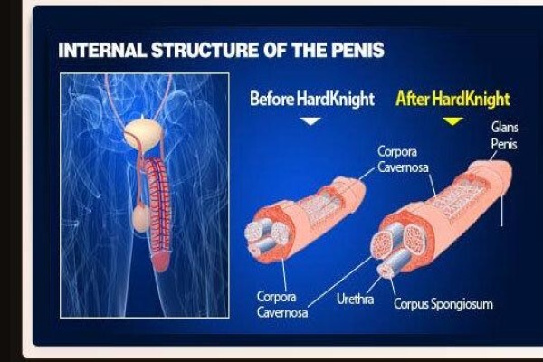 Mens Clinic International