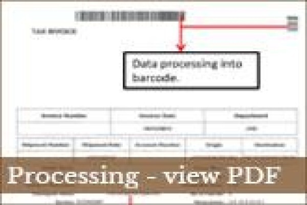 Ingwe Output Management Services (Pty) Ltd