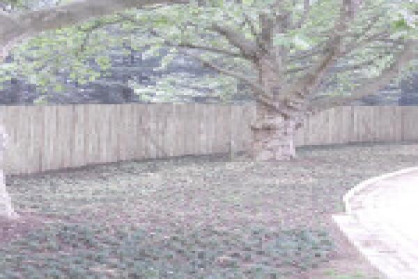 Duzi Fencing