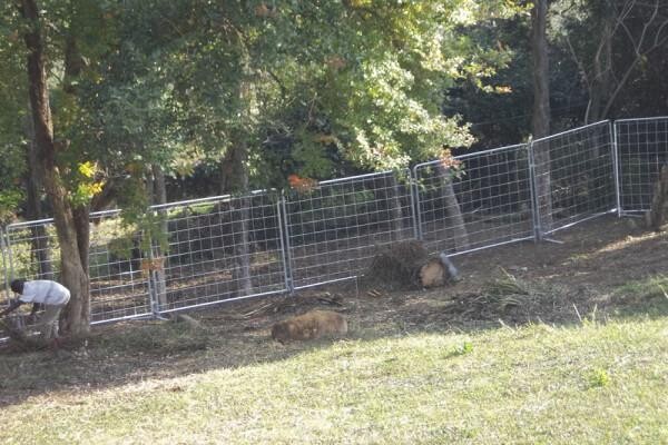 Duzi Fencing