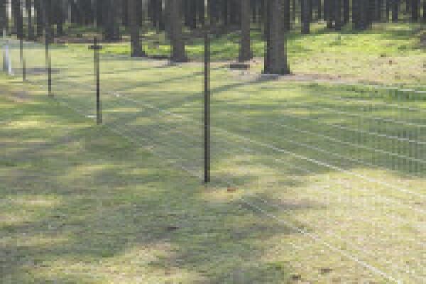 Duzi Fencing