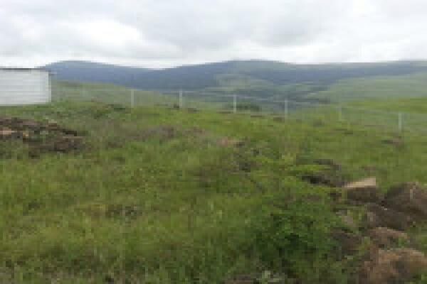 Duzi Fencing