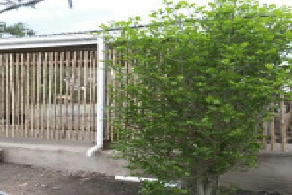 Duzi Fencing