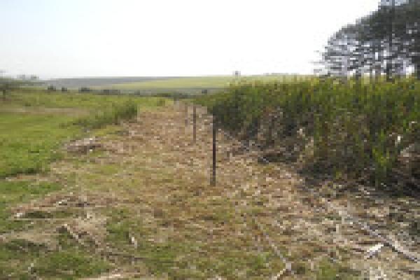 Duzi Fencing