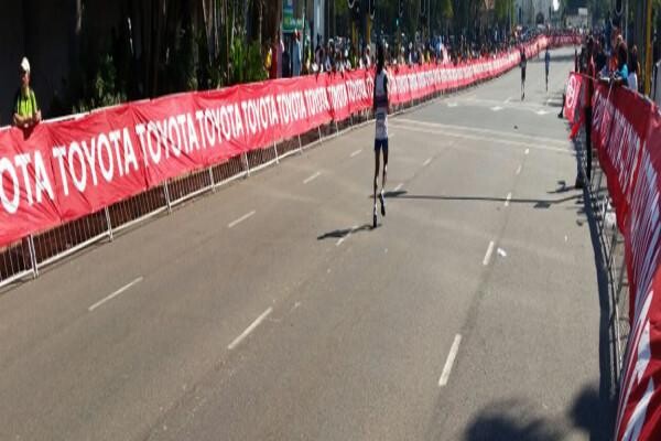 Speed Fence