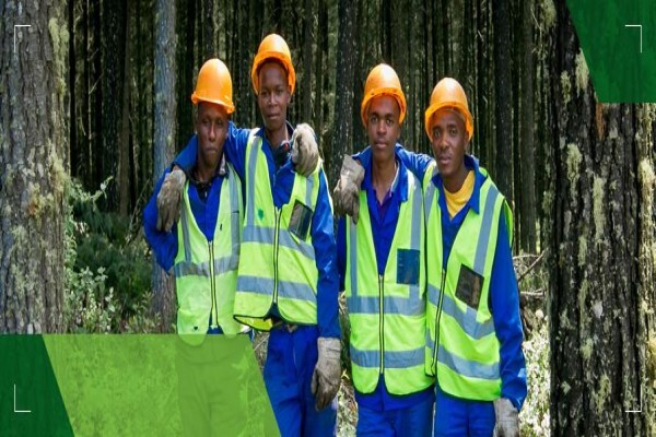C J Rance (Pty) Ltd