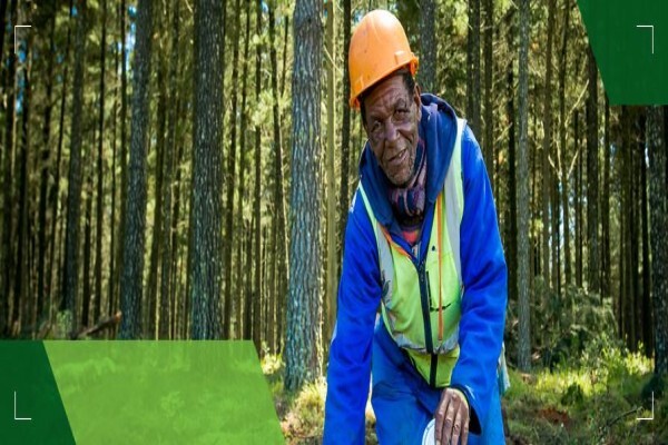 C J Rance (Pty) Ltd