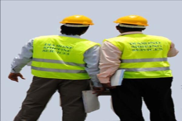 Diamond Shipping (Pty) Ltd