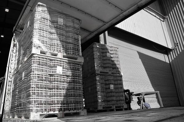 Sebenza Forwarding & Shipping (Pty) Ltd