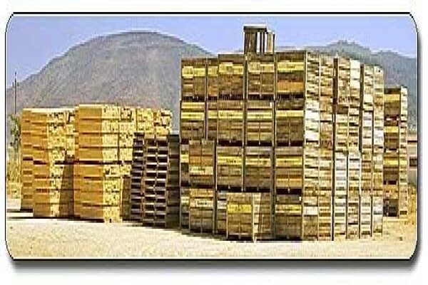 Boland Bins
