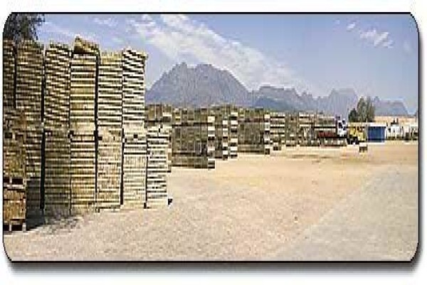 Boland Bins