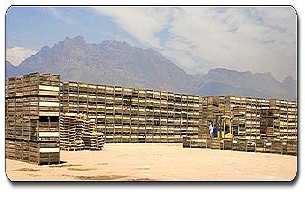 Boland Bins