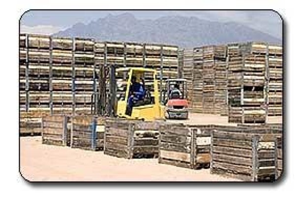Boland Bins