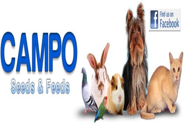 Campo Feeds & Seeds