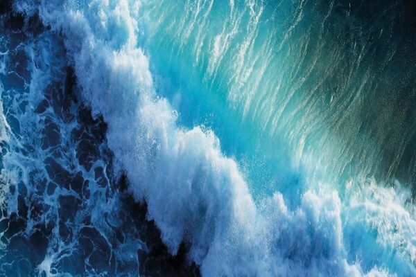 Atlantic Cold Storage