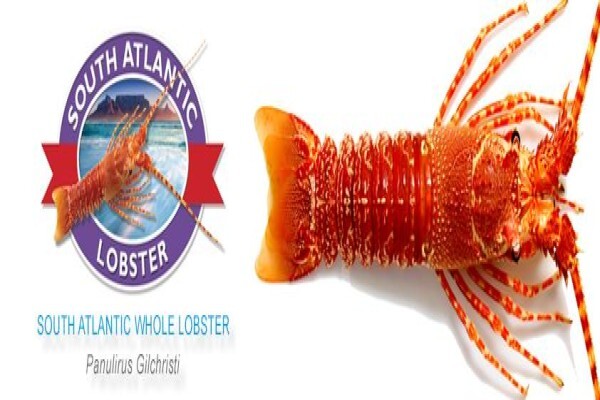 Atlantic Cold Storage