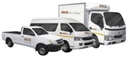 Avis Van Rental