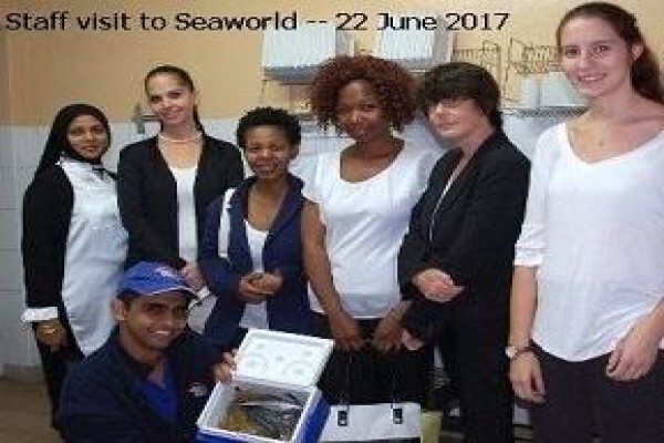 Chem-Science Laboratories (Pty) Ltd