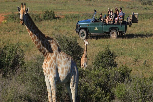 Garden Route Game Lodge