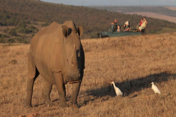 Garden Route Game Lodge