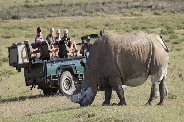 Garden Route Game Lodge